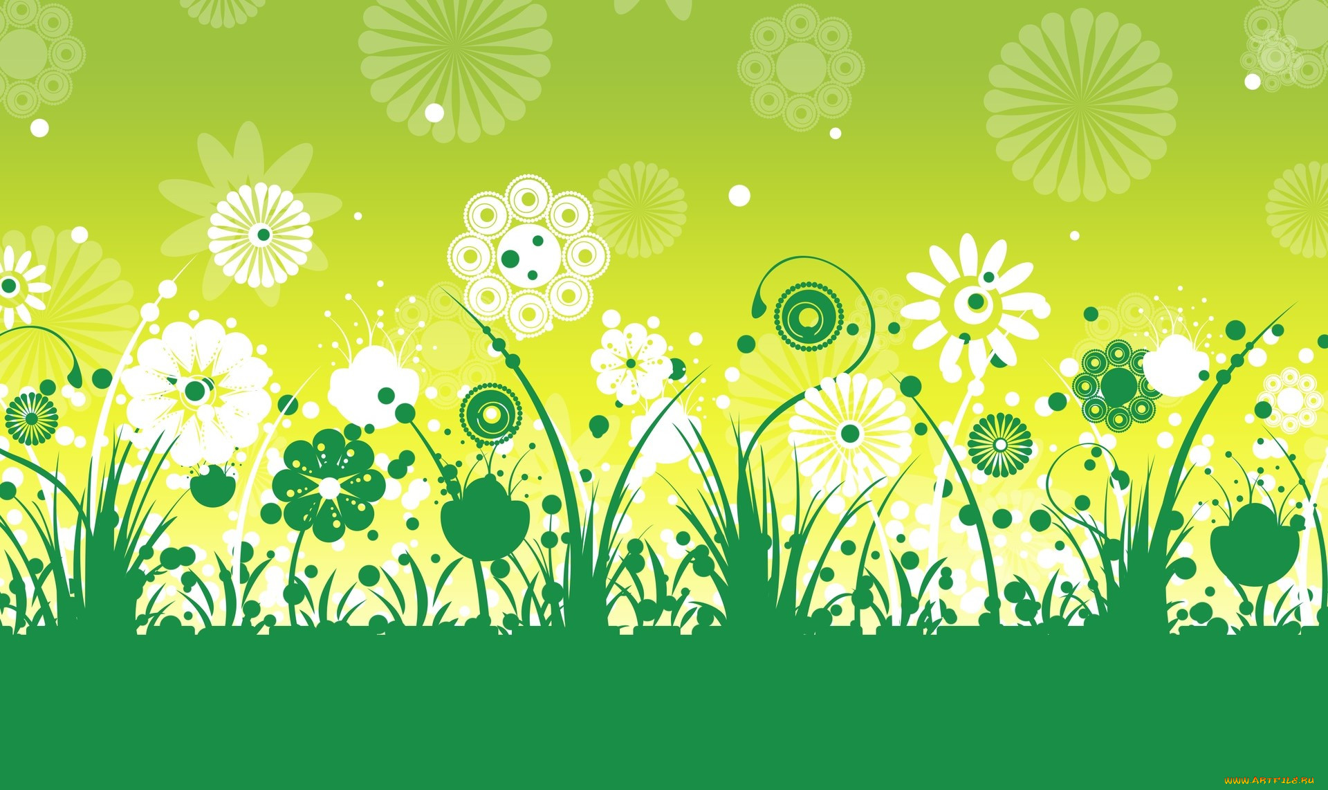  ,  , flowers, , 